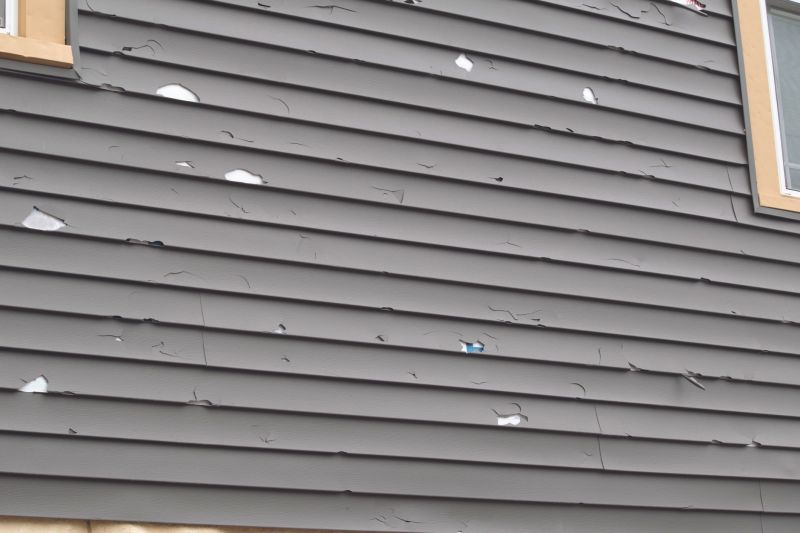 Vinyl Siding Repair Consultation